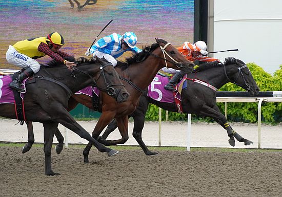Pacific Emperor seen here at his last win in the Group 3 Merlion Trophy last October 