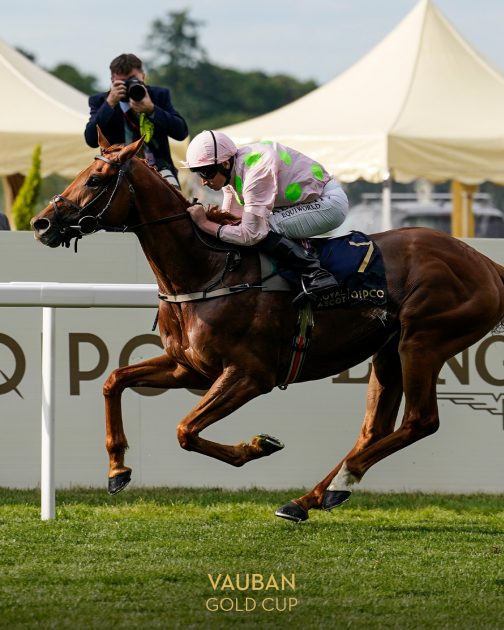 Willie Mullins is upbeat about Vauban’s prospects