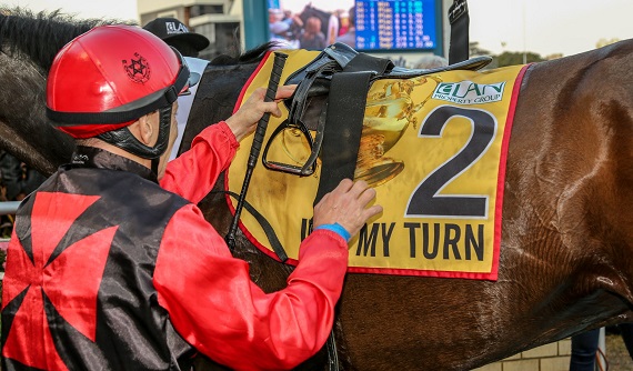 Anton Marcus unsaddles 2018 Gold Cup winner It’s My Turn