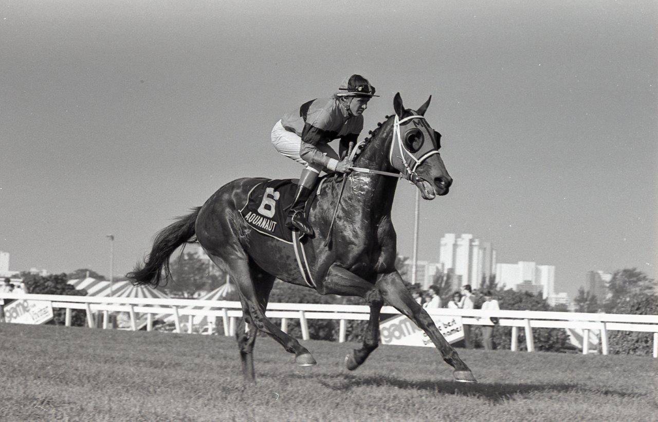 Aquanaut canters to post for the 1987 Game Gr1 Gold Cup