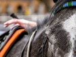 Jockey Protest – Inquiry To Continue At A Future Date