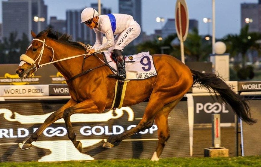 Dave The King saunters home under Richard Fourie (Pic - Candiese Lenferna)
