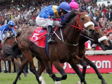 High drama as Wylie Hall (MJ Byleveld) and Legislate (Richard Fourie) go head to in 2014 – it went to the boardroom