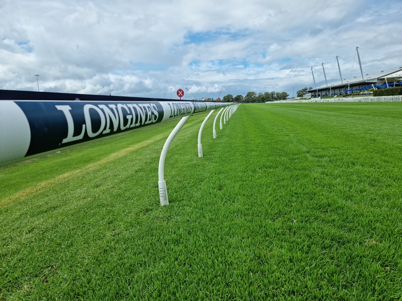 Sydney Saturday metro racing returns to Rosehill this Saturday (Pic - ThoroughbredNews)