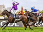 Peter Filly Prohibited Substance – Inquiry Follows