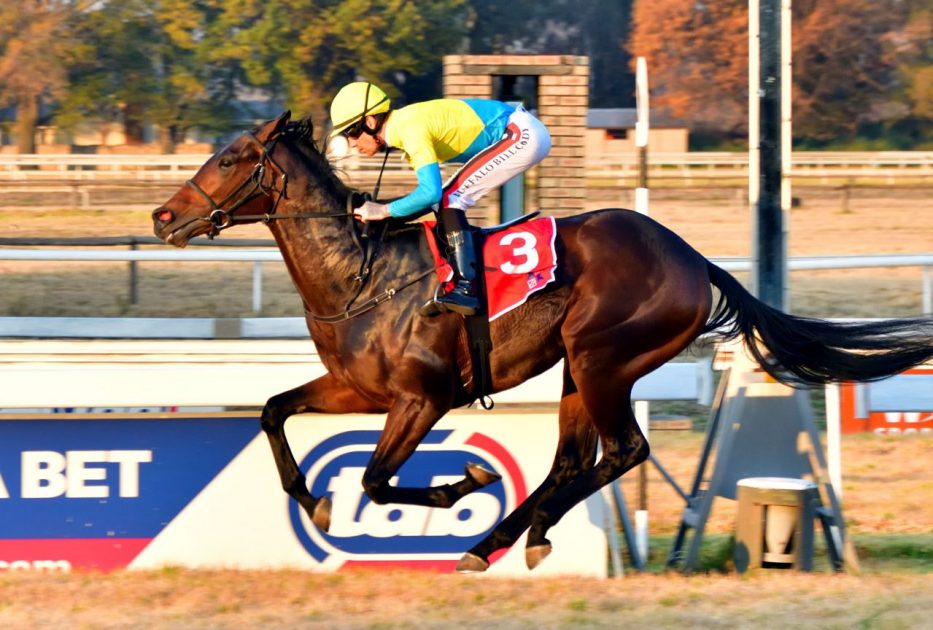 William Iron Arm (seen here under Craig Zackey) is the best bet on the card today