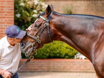 Frankel and his longstanding Groom Rob Bowley (Pic - Candiese Lenferna)