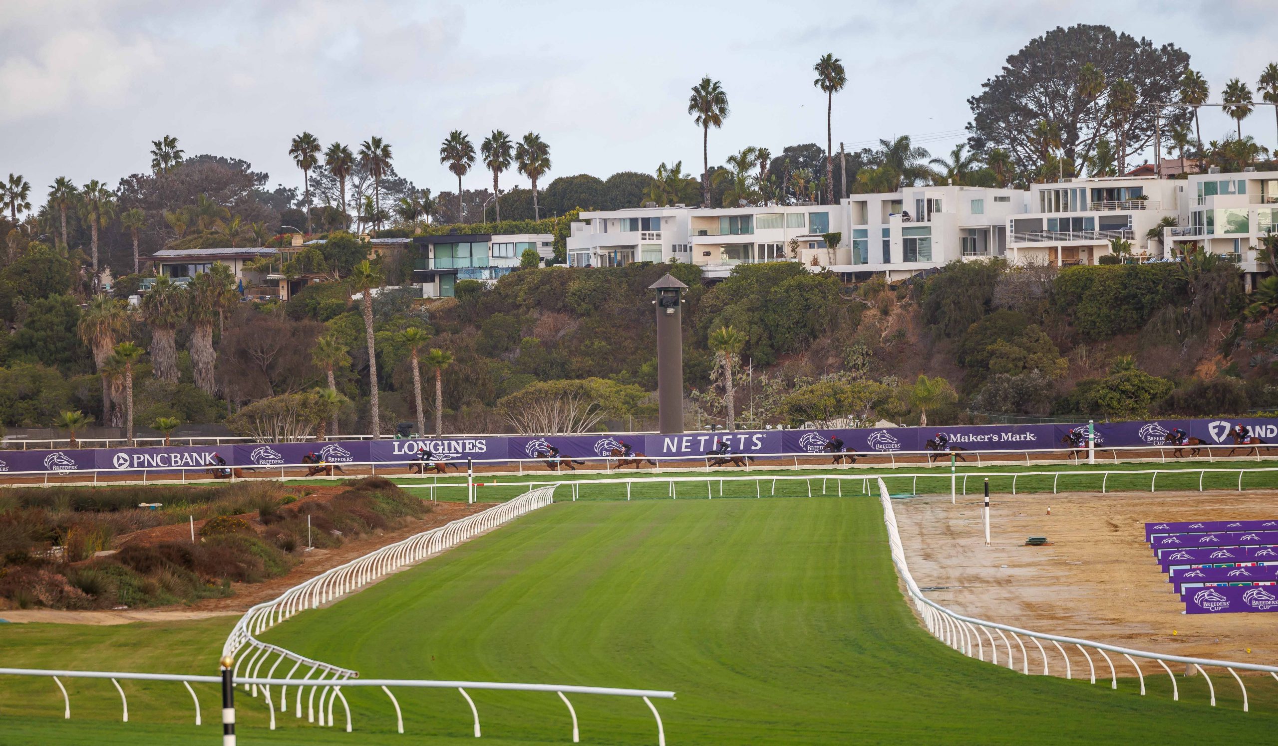 Newsflash Watch The Breeders’ Cup Live On Gallop TV! Sporting Post