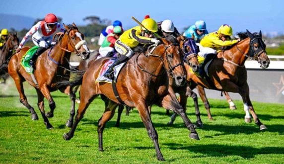Pomodoro's Jet (Craig Zackey) returns from a 14-week break today (Pic - Chase Liebenberg)