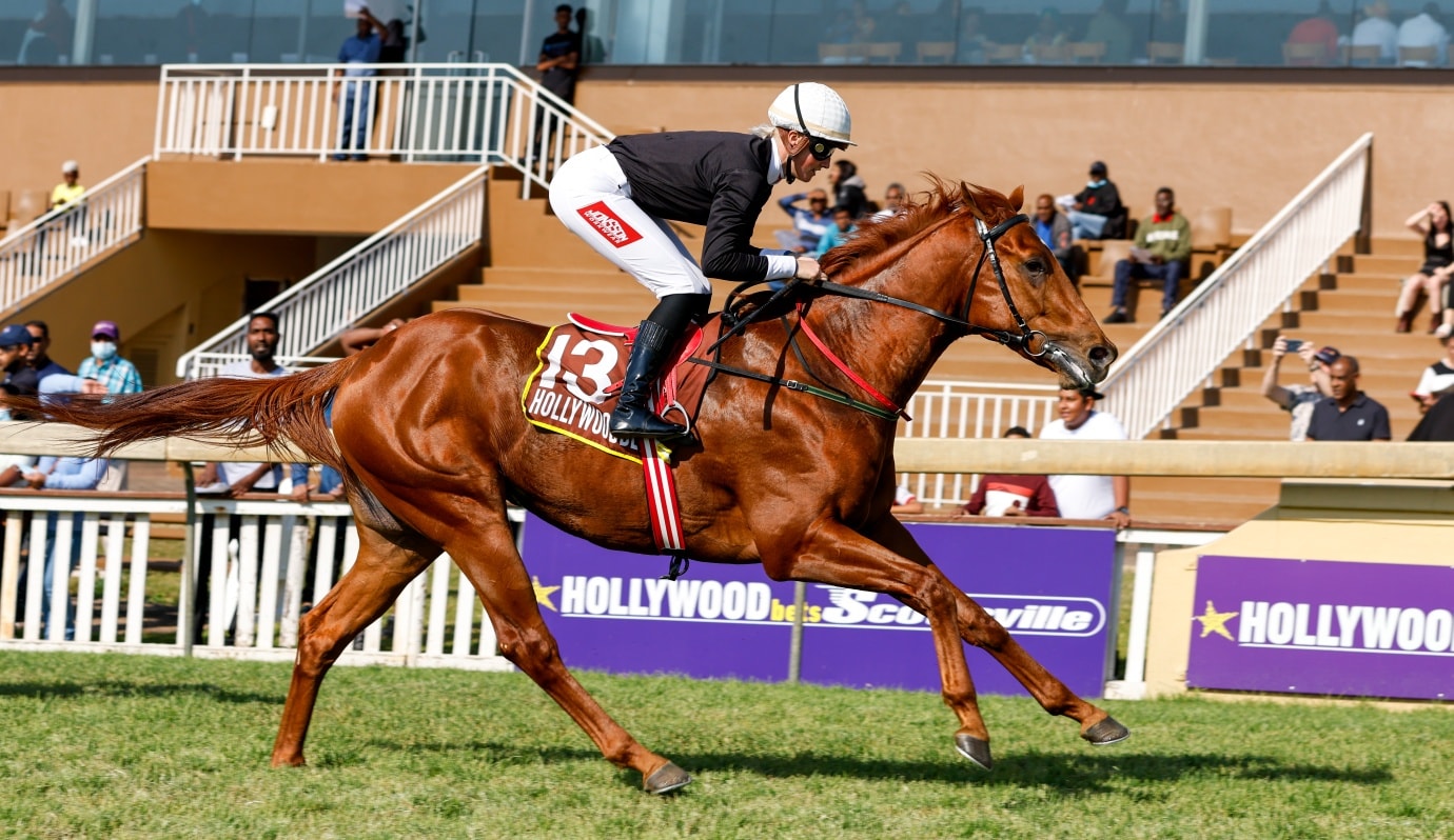 Sun Blushed (Rachel Venniker) takes his place in Race 6 (Pic - Candiese Lenferna)