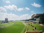 Championships Finale For Local And More…