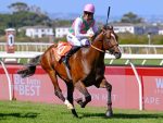 Cape Racing’s Epic Summer Season