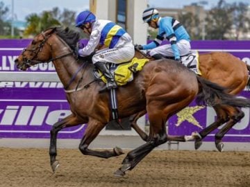 Gimmethegoodlife (Marco van Rensburg) beat Richardthefearless (Tristan Godden) on the poly at Hollywoodbets Greyville (Pic - Candiese Lenferna)