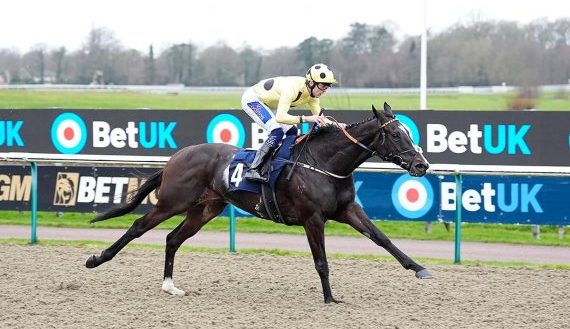 Royal Champion winning at Lingfield Park (Pic - John Hoy)