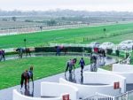 TGIF – We Are Racing Today