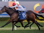 I Am Invincible Daughter Confirmed For Chairman’s Sale