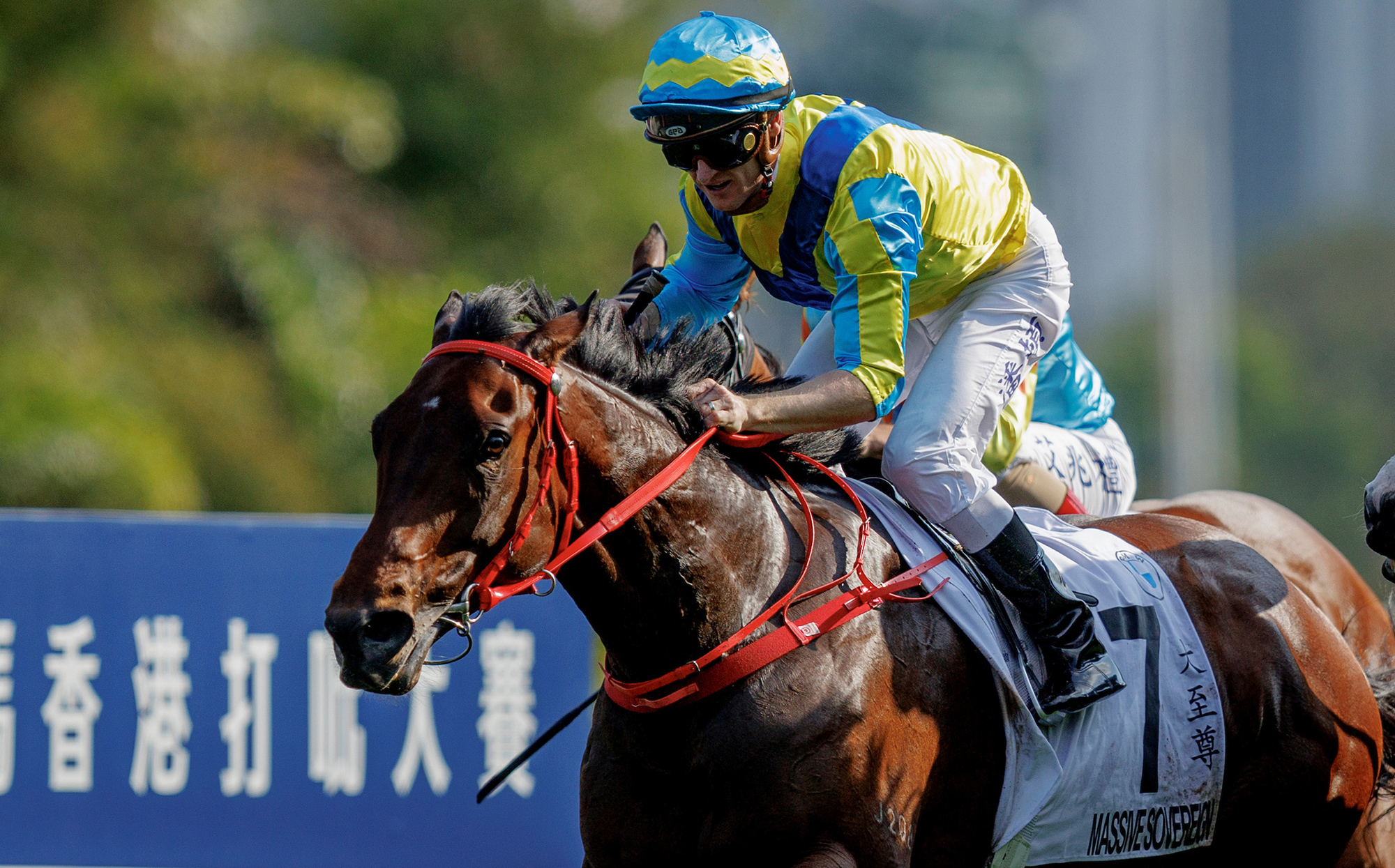 Massive Sovereign wins the 2024 BMW Hong Kong Derby (Pic - HKJC)