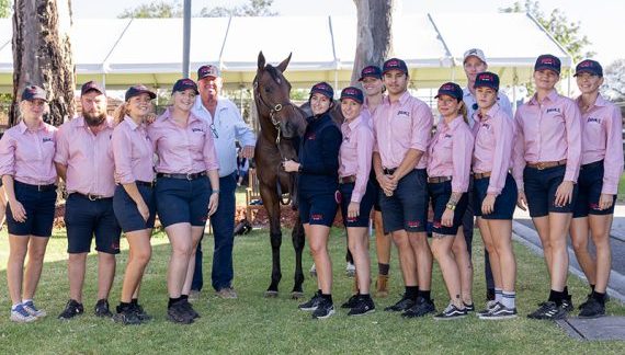 Zoustar filly is a sales topper (Pic - Magic Millions)