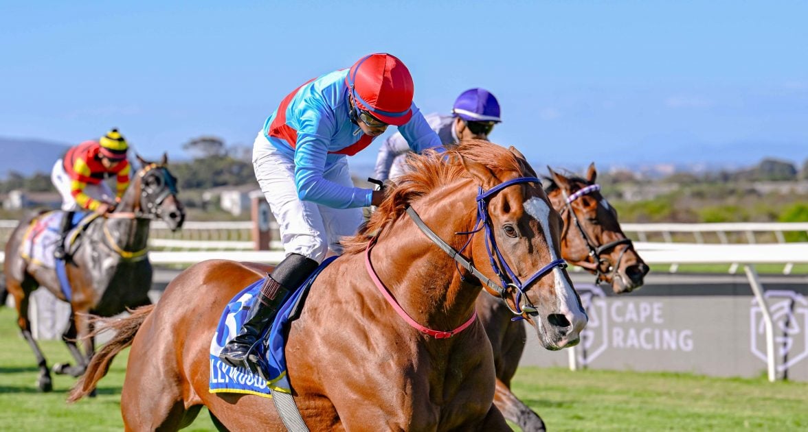 Promising Garrix - looks to make it three on trot (Pic - Chase Liebenberg)