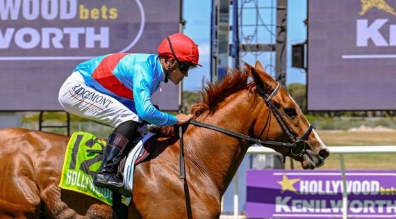 Garrix (here under Richard Fourie) takes his place in Race 7 (Pic - Chase Liebenberg)