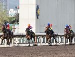 We’re Racing At Sha Tin On Tuesday