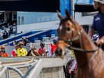 The Standouts At Hollywoodbets Greyville On Sunday
