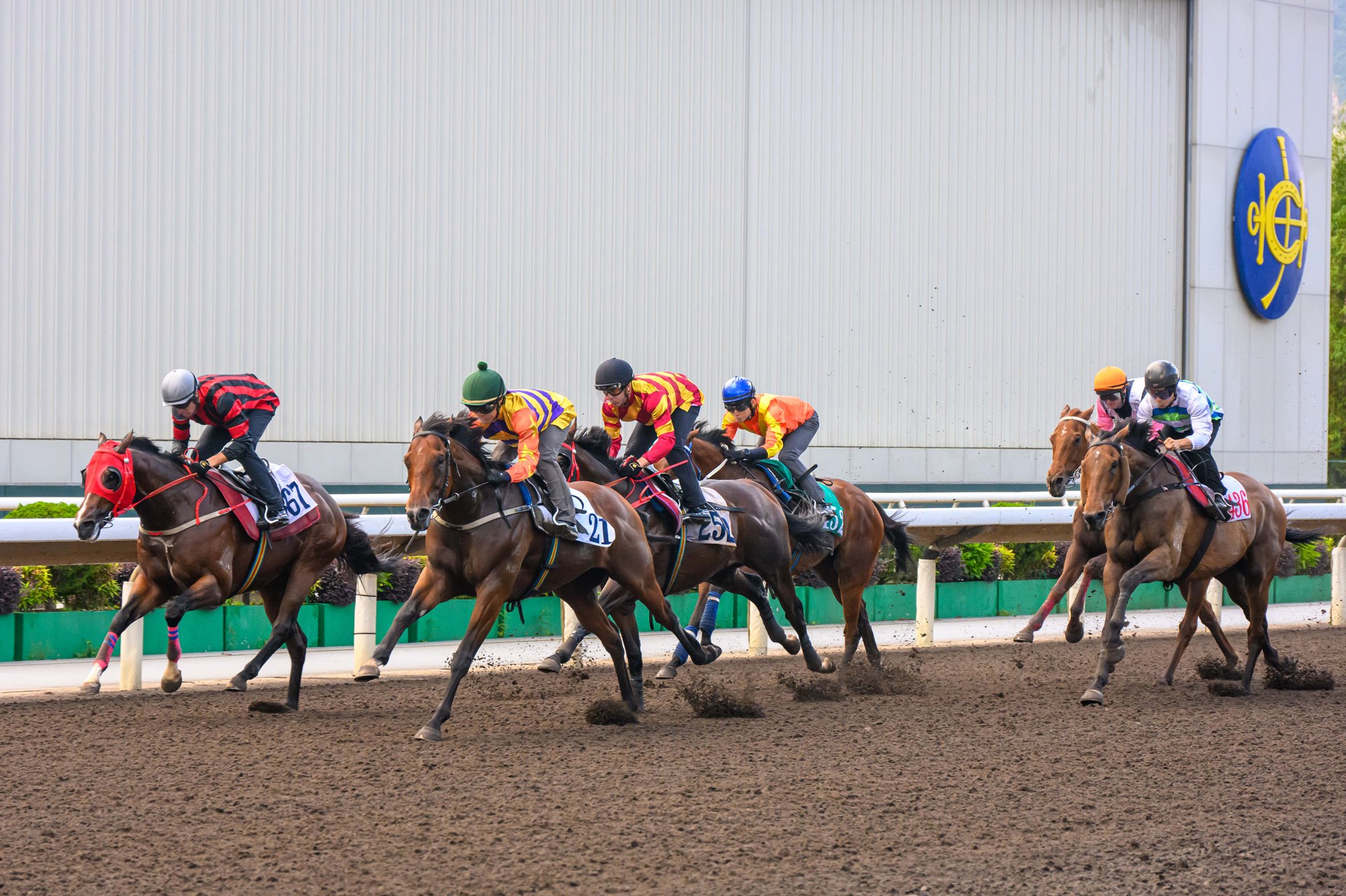 BMW Hong Kong Derby winner Cap Ferrat (green cap) trials impressively at Sha Tin (Pic - HKJC)