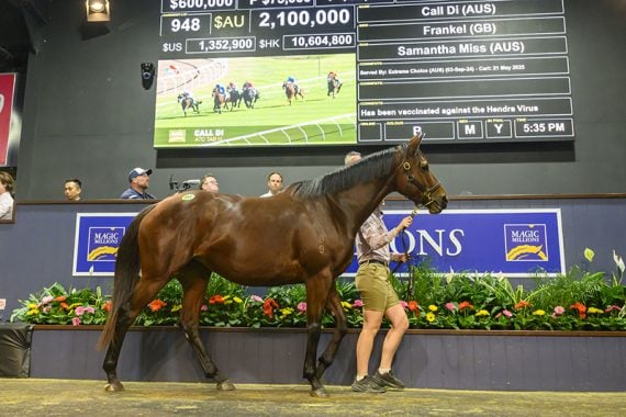 Call Di took the top spot on day two of the sale (Pic - Magic Millions)