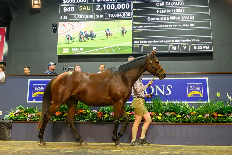 Call Di took the top spot on day two of the sale (Pic - Magic Millions)