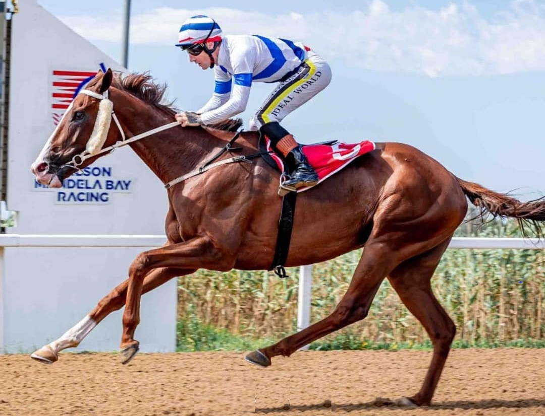 Craig Zackey takes the ride on Flight Display in the lucky last (Pic - Pauline Herman)