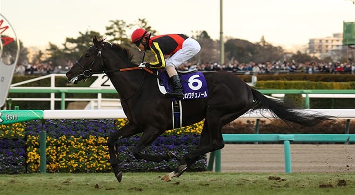 Croix Du Nord wins the Hopeful Stakes at Nakayama in Japan (Pic - JRA)