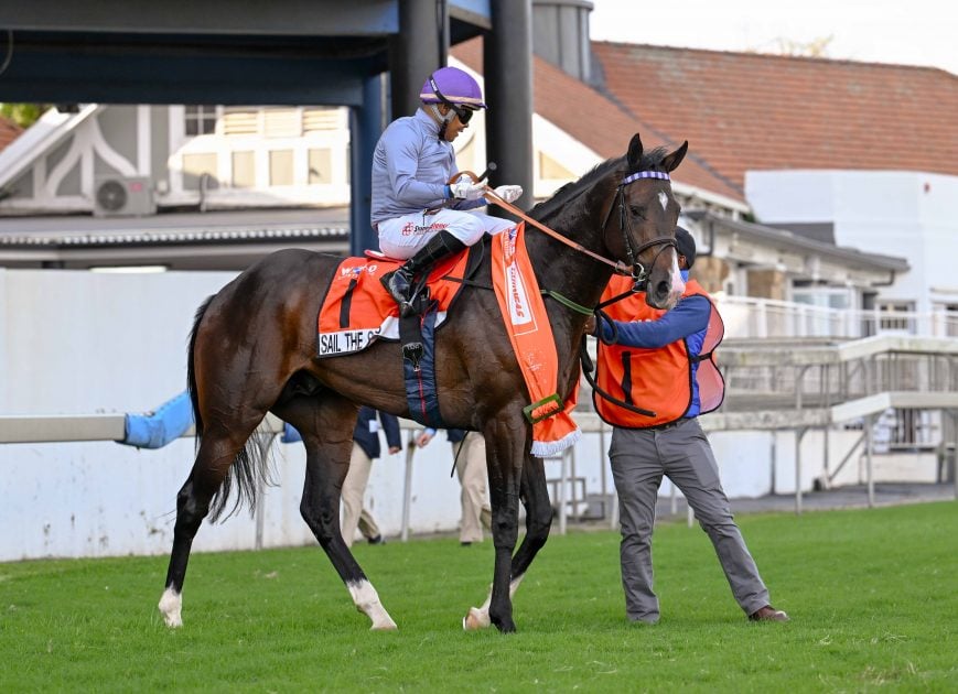 Drakenstein Stud bred Vercingetorix’ WSB Gr2 Guineas winner Sail The Seas out of the Philanthropist mare, Sail (Pic - Chase Liebenberg)