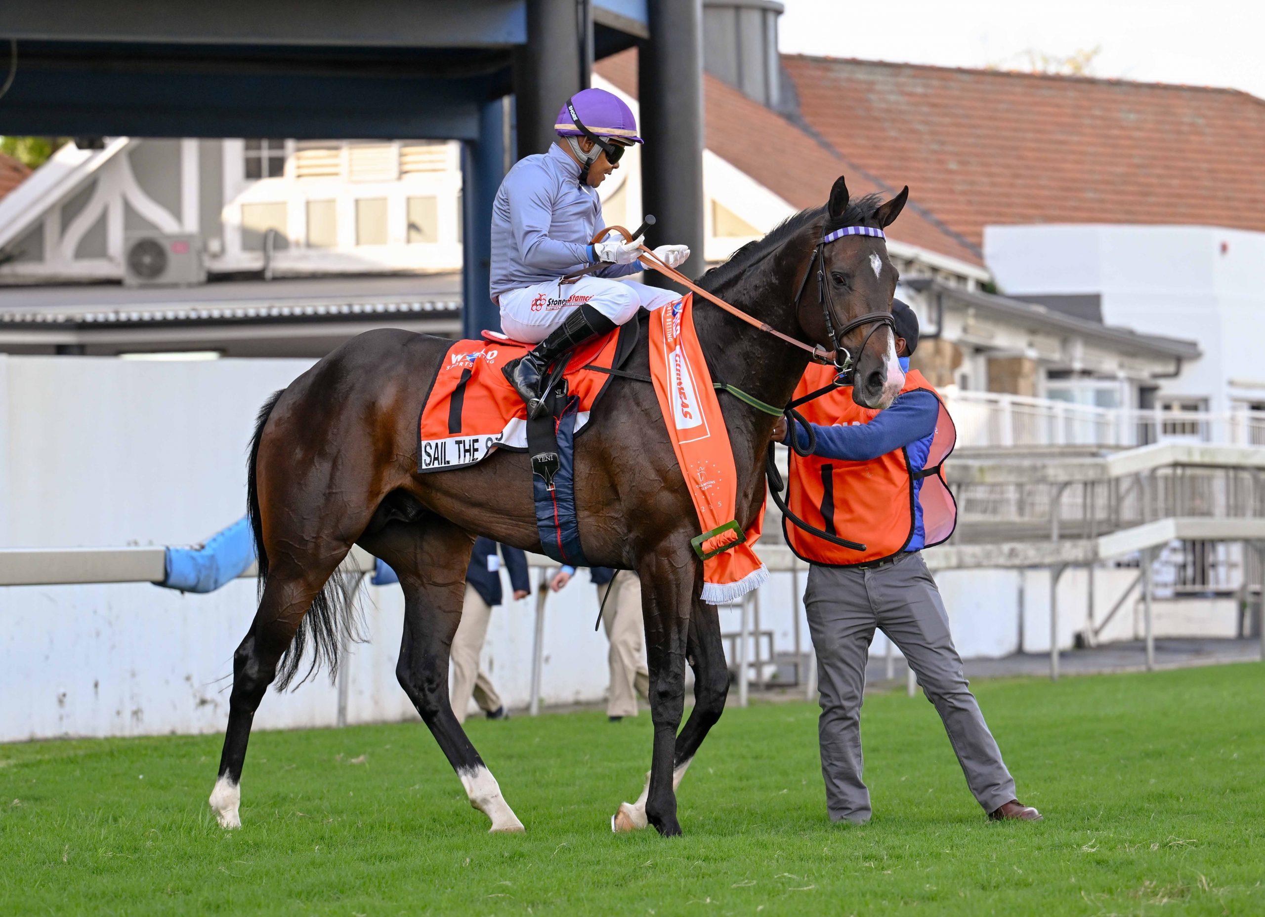 Drakenstein Stud bred Vercingetorix’ WSB Gr2 Guineas winner Sail The Seas out of the Philanthropist mare, Sail (Pic - Chase Liebenberg)