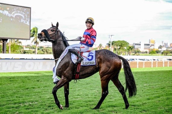 Erasmus Thoroughbreds bred Vercingetorix’ IOS Gr2 Drill Hall Stakes winner Gladatorian out of the Dynasty mare, Harvard Crimson (Pic - Chase Liebenberg)