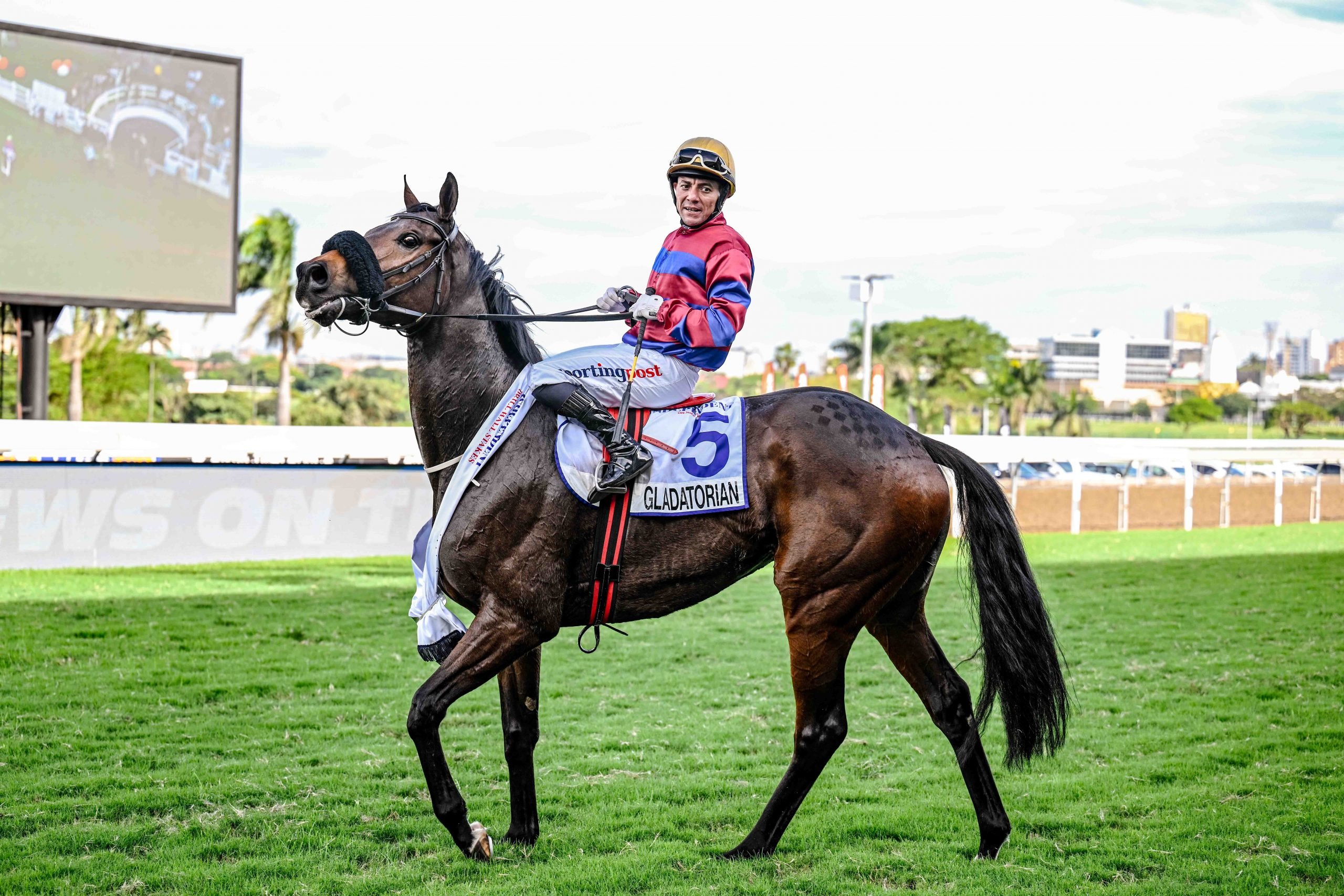 Erasmus Thoroughbreds bred Vercingetorix’ IOS Gr2 Drill Hall Stakes winner Gladatorian out of the Dynasty mare, Harvard Crimson (Pic - Chase Liebenberg)