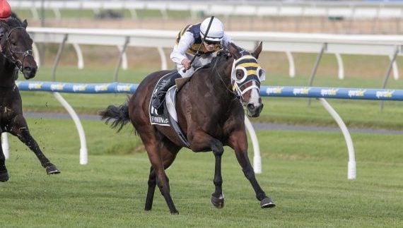 Femminile (Lachlan Neindorf) wins the SA Derby at Morphettville (Pic - Inglis)