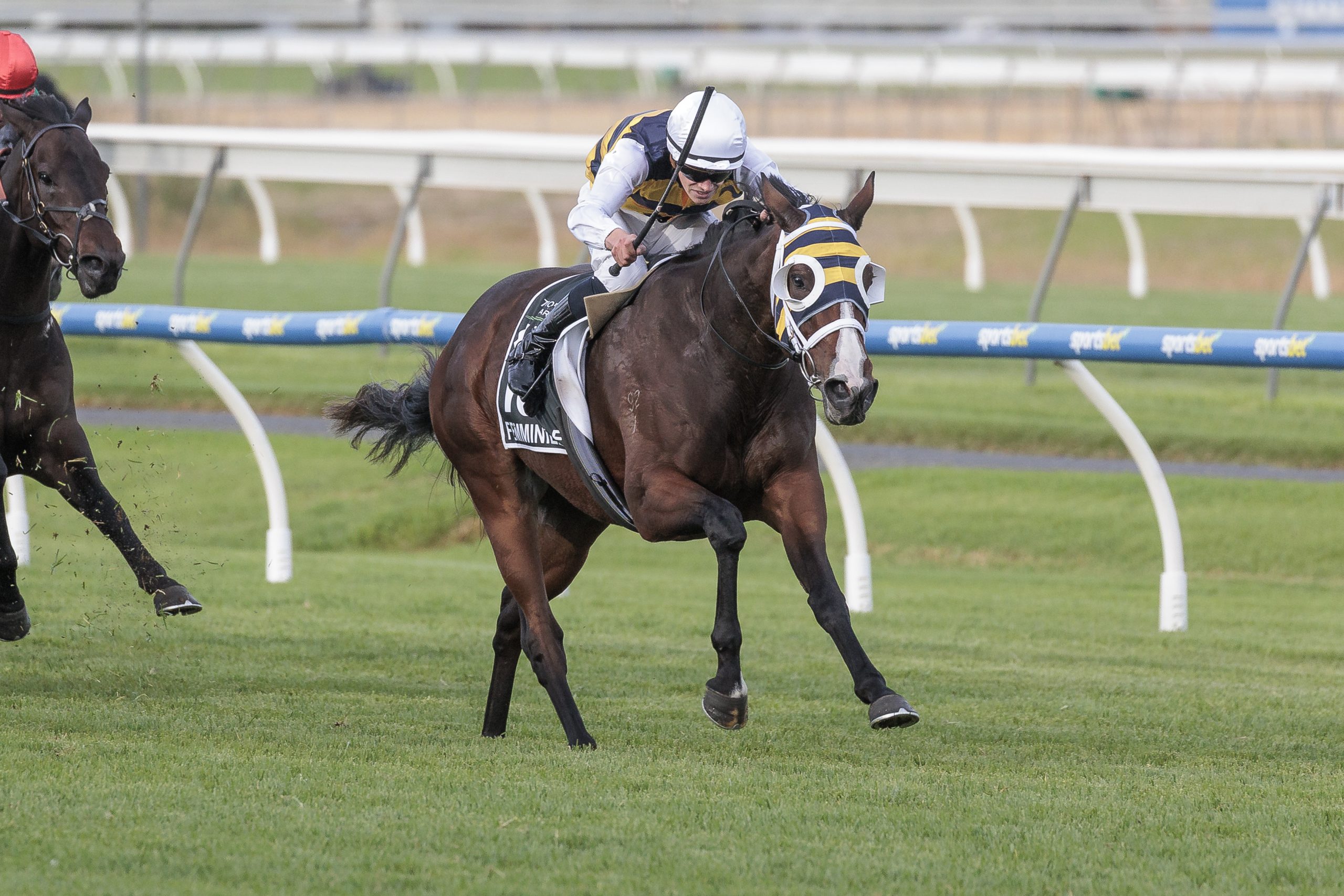 Femminile (Lachlan Neindorf) wins the SA Derby at Morphettville (Pic - Inglis)