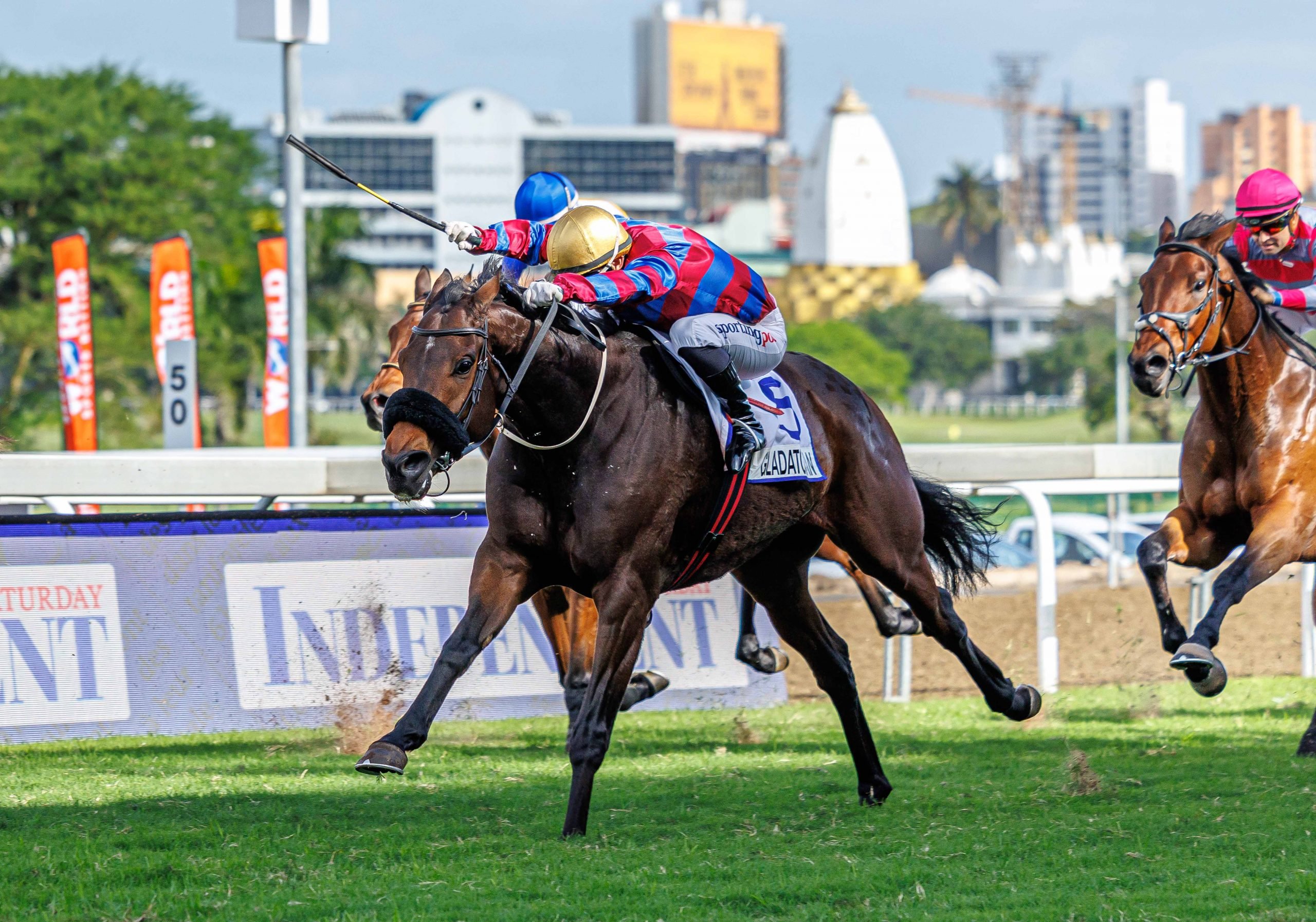 Gladatorian (Sean Veale) runs on powerfully to beat See It Again (Raymond Danielson, pink cap) in a thriller (Pic - Candiese Lenferna)