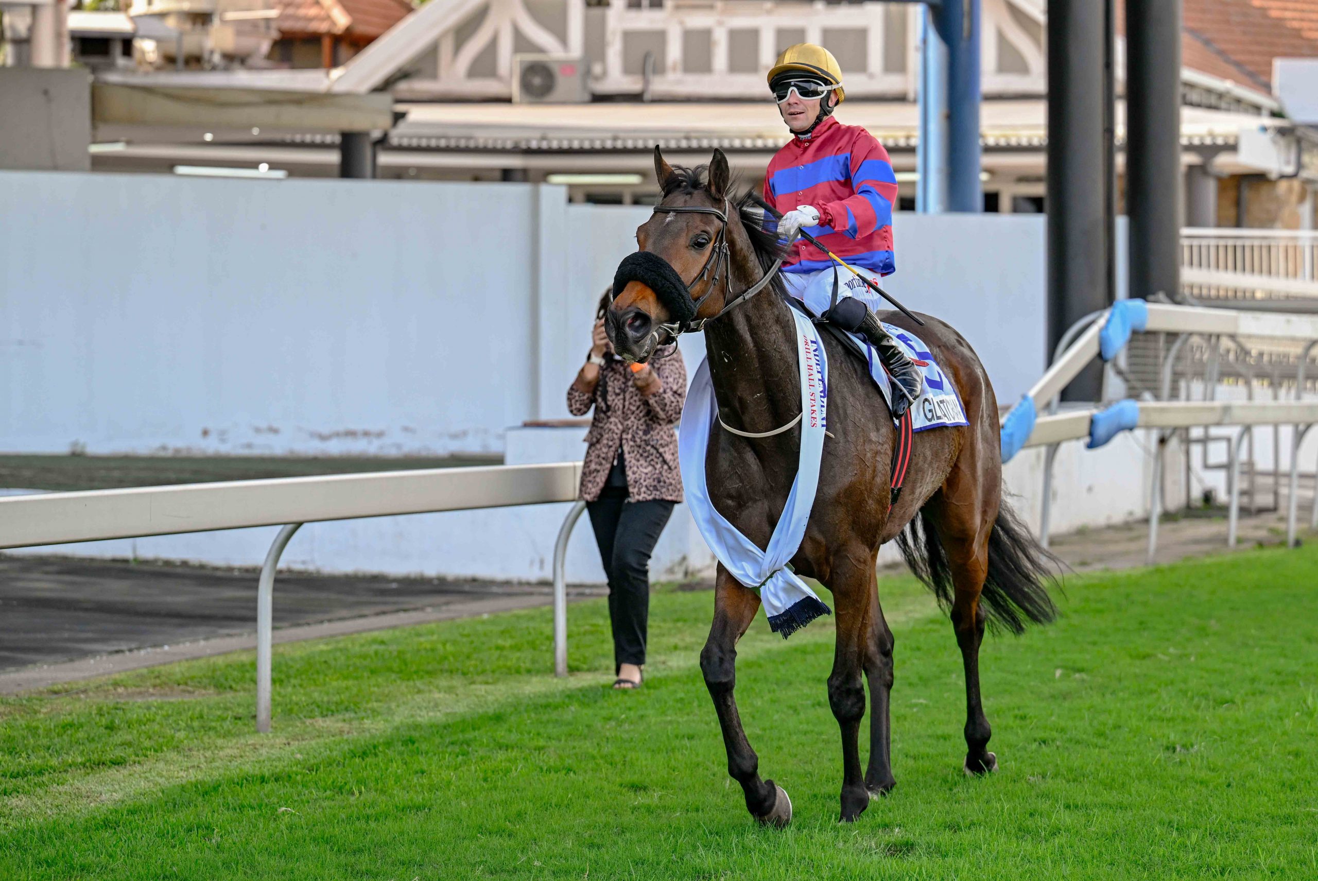 Gladatorian and Sean Veale return after the IOS Gr2 Drill Hall Stakes win (Pic - Chase Liebenberg)
