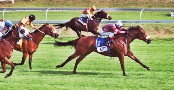 Hear The Drums – a big winner but not the record holder (Pic - Supplied)
