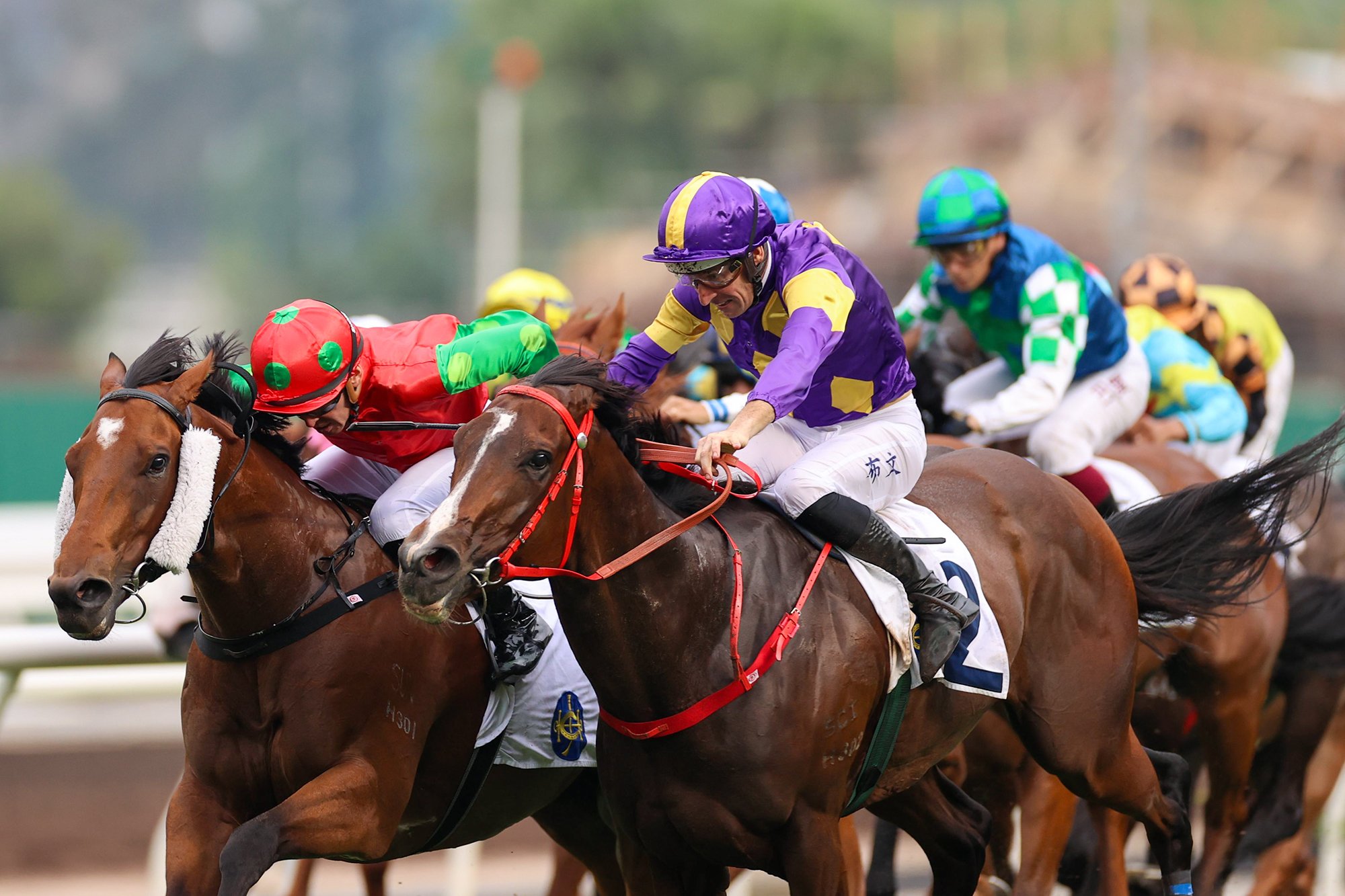 Helios Express edges out Invincible Sage in the Sha Tin Vase (Pic - HKJC)