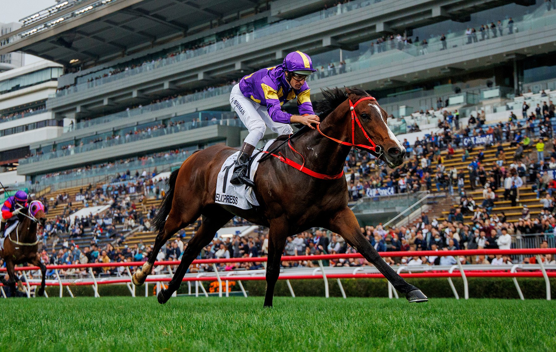 Helios Express has repeatedly chased home Ka Ying Rising this season (Pic - HKJC)