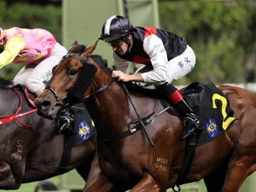 Hugh Bowman pilots Young Arrow to victory (Pic - HKJC)