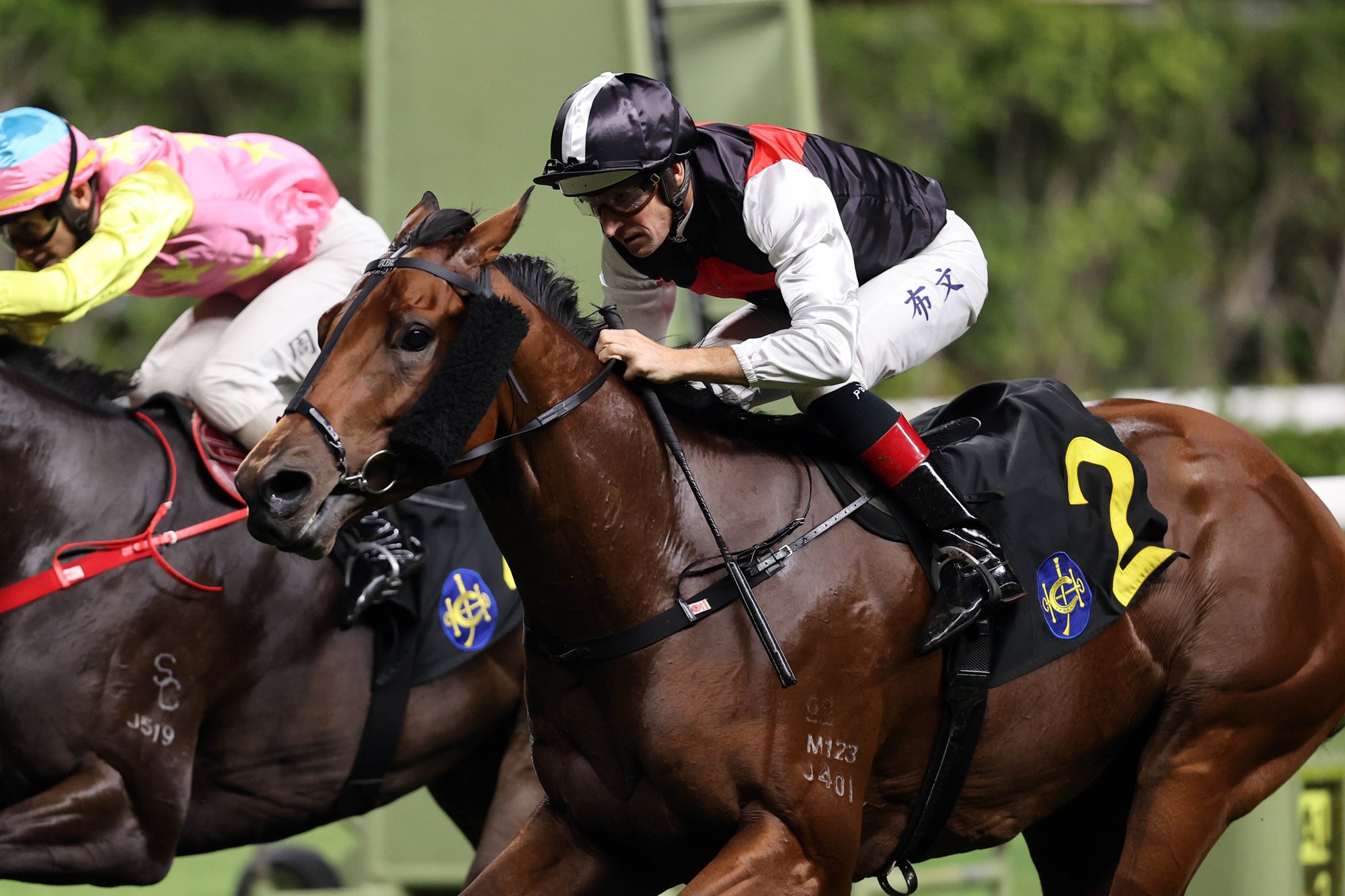 Hugh Bowman pilots Young Arrow to victory (Pic - HKJC)