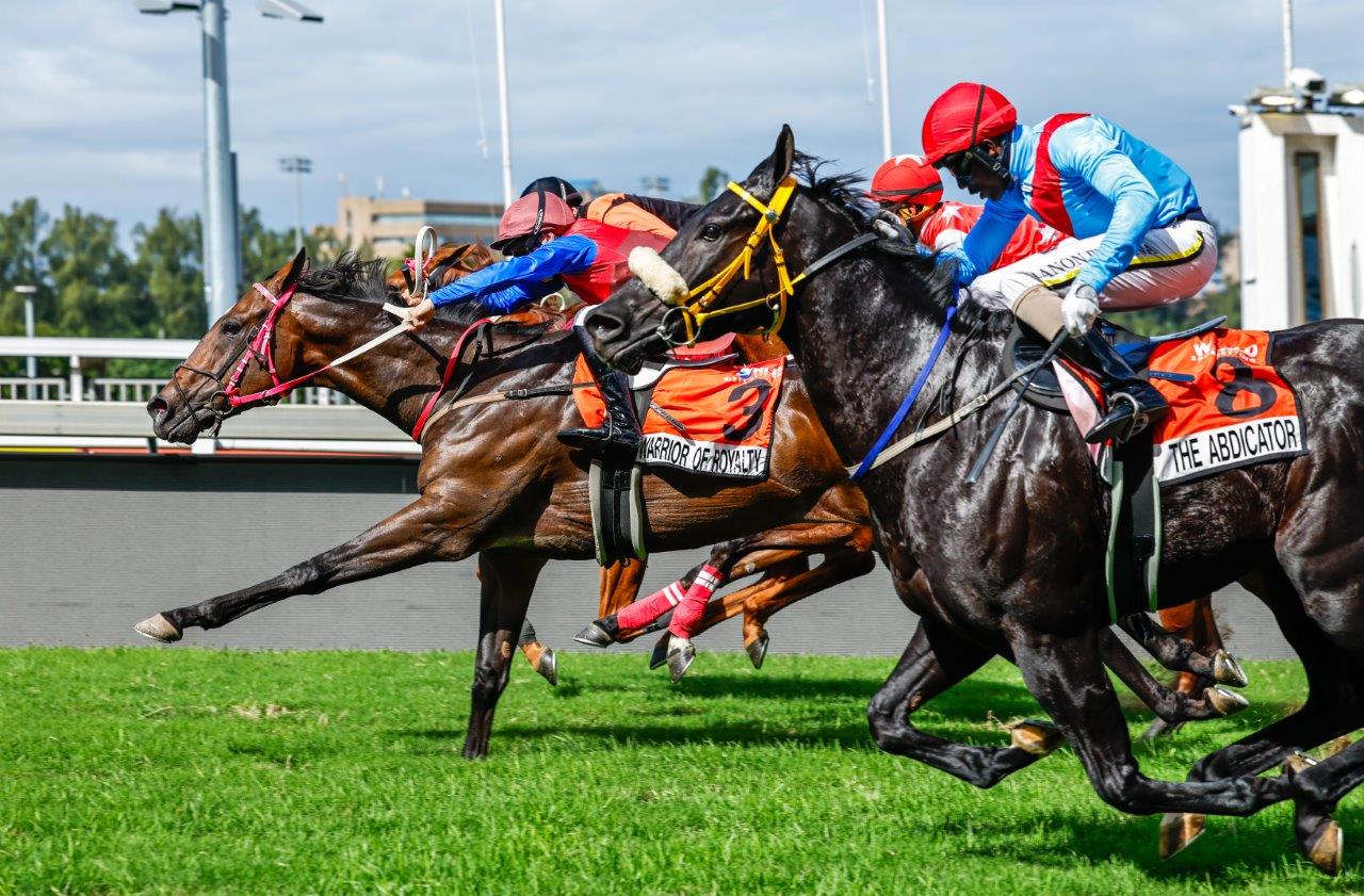 Jaycee Botes drives Warrior Of Royalty through to a narrow win over Million Voices (Matthew Thackeray, obscured). The tote favourite The Abdicator (Kabelo Matsunyane, red cap) is closest to the camera (Pic - Candiese Lenferna)