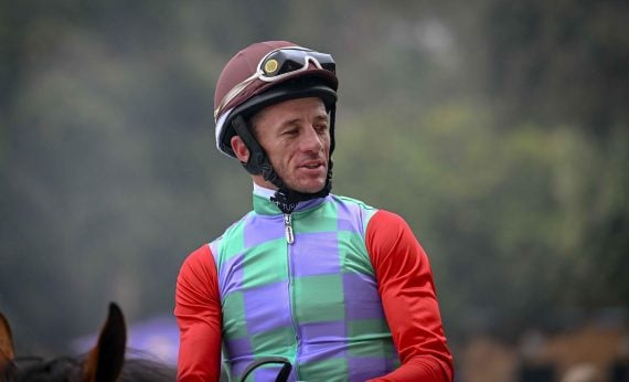 Jockey Chad Little takes the ride on Mercantour in the lucky last (Pic - Chase Liebenberg)