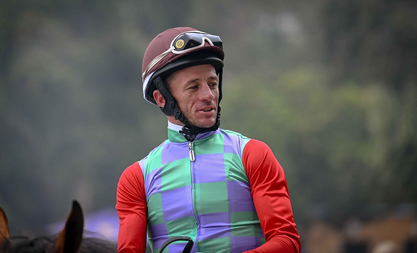 Jockey Chad Little takes the ride on Mercantour in the lucky last (Pic - Chase Liebenberg)