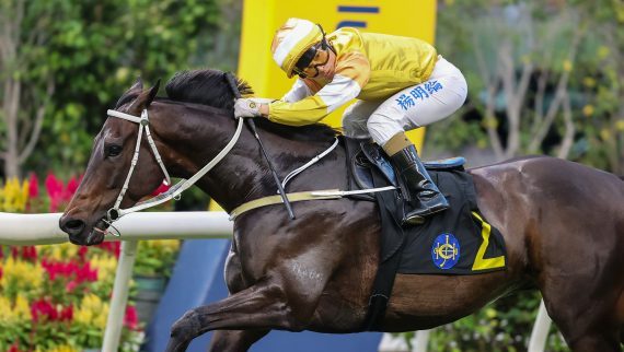 Kingly Demeanor delivers Tony Cruz’s 500th win as a trainer at Happy Valley (Pic - HKJC)