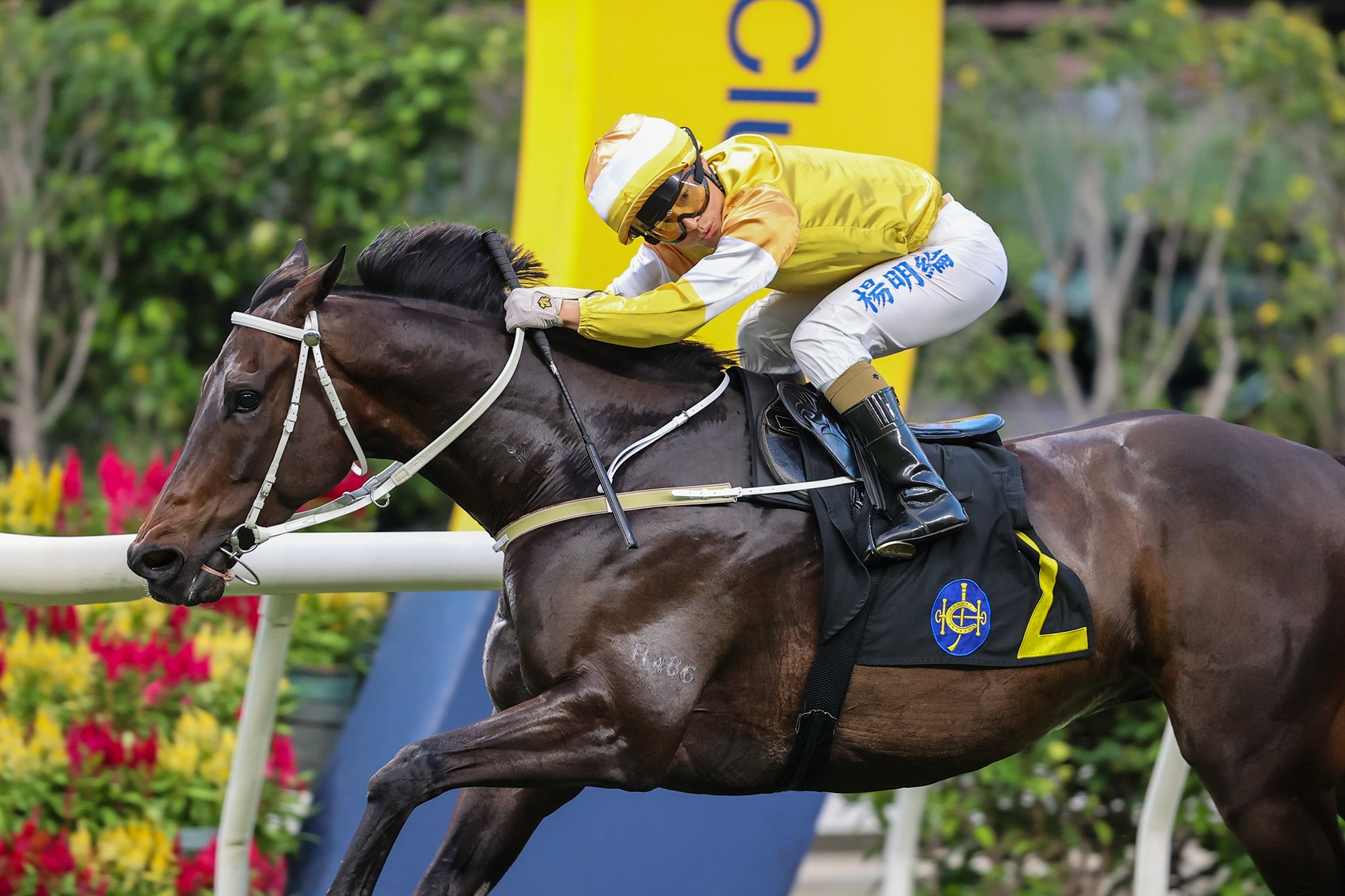 Kingly Demeanor delivers Tony Cruz’s 500th win as a trainer at Happy Valley (Pic - HKJC)