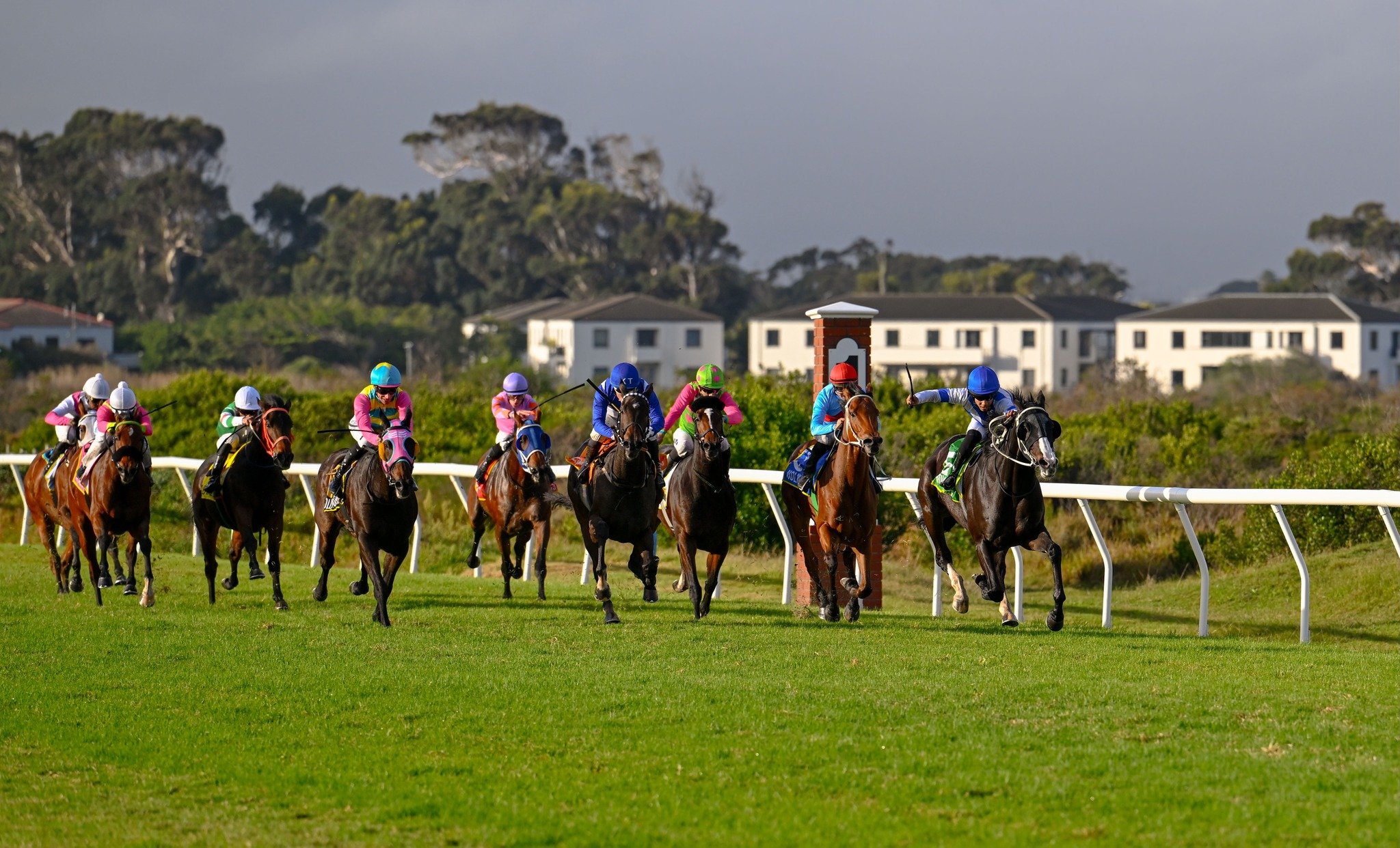 Last Wednesday's racing action at Hollywoodbets Kenilworth (Pic for illustration purposes by Chase Liebenberg)